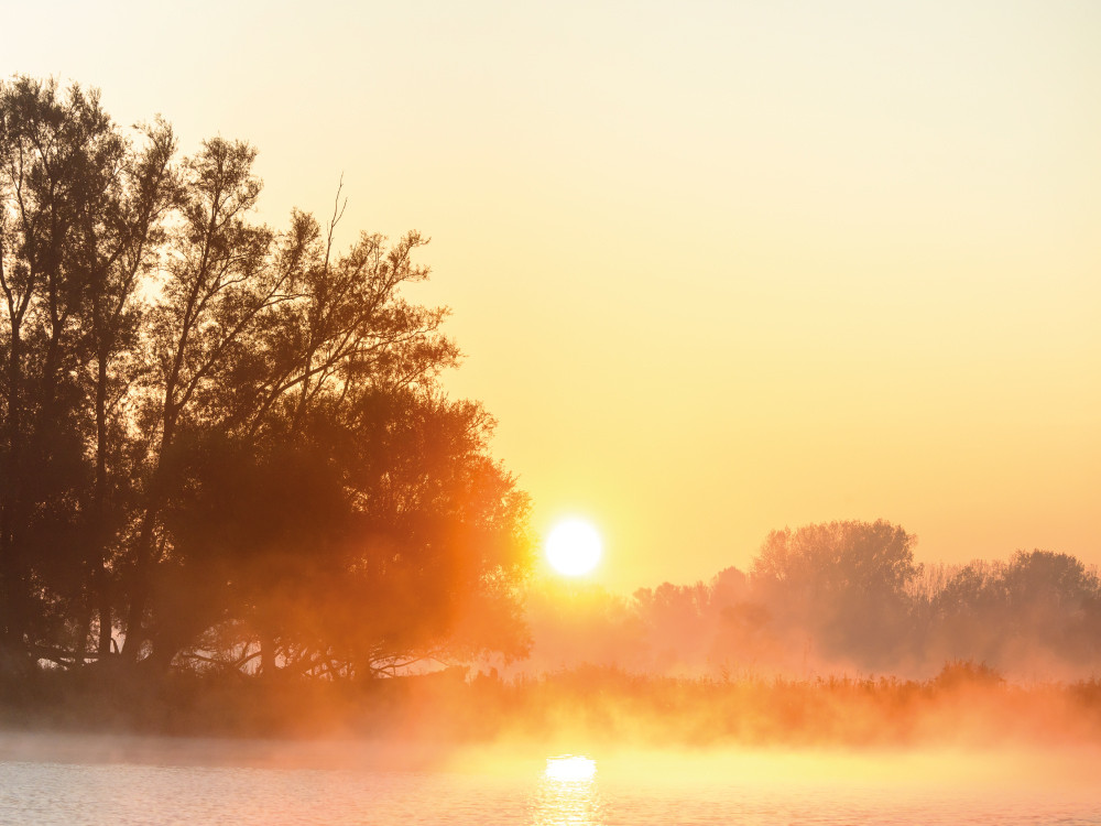 Herfst in de Biesbosch