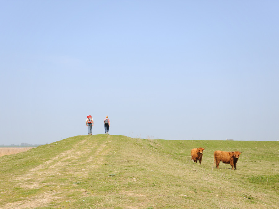 Wandelroutes Zuid-Holland