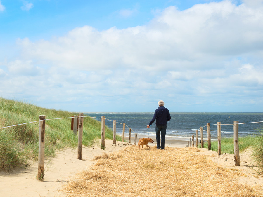 Wandelroutes Texel met hond