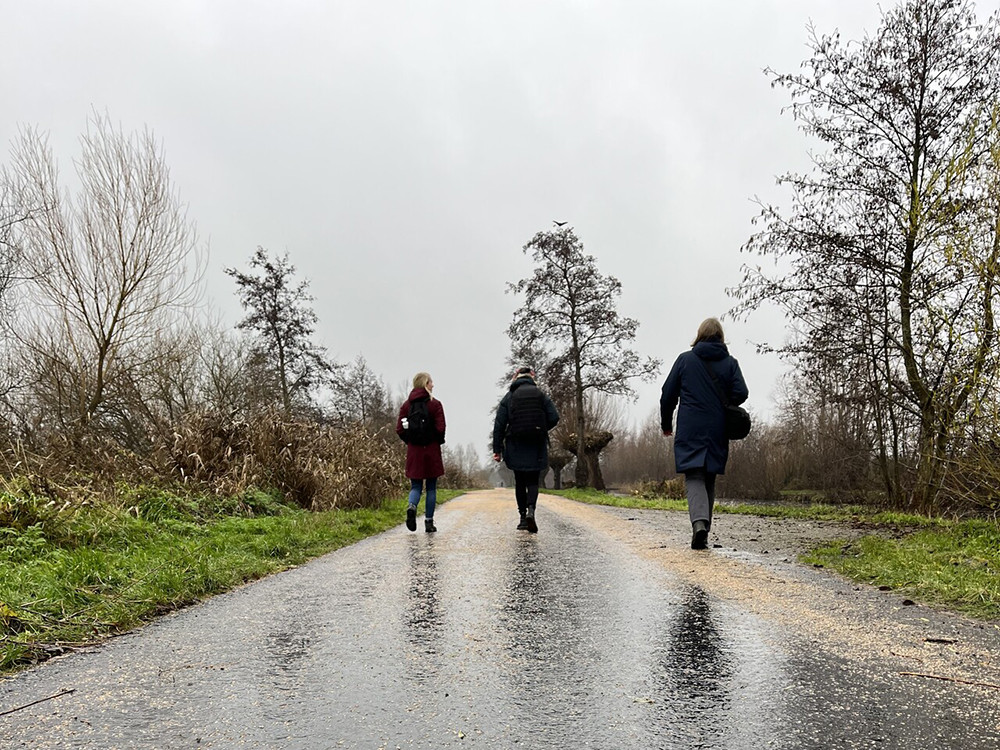 Wandelen Reeuwijkse Plassen