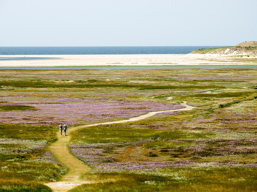 Wandelen Slufter