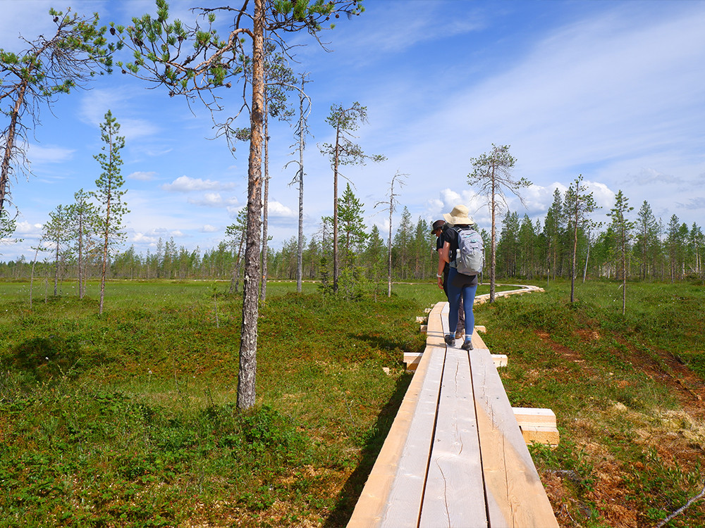 Simosenpolku Trail