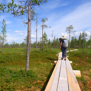 Afbeelding voor Wandelen in Taivalkoski