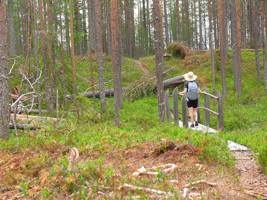 Kylmaluoma Hiking Area