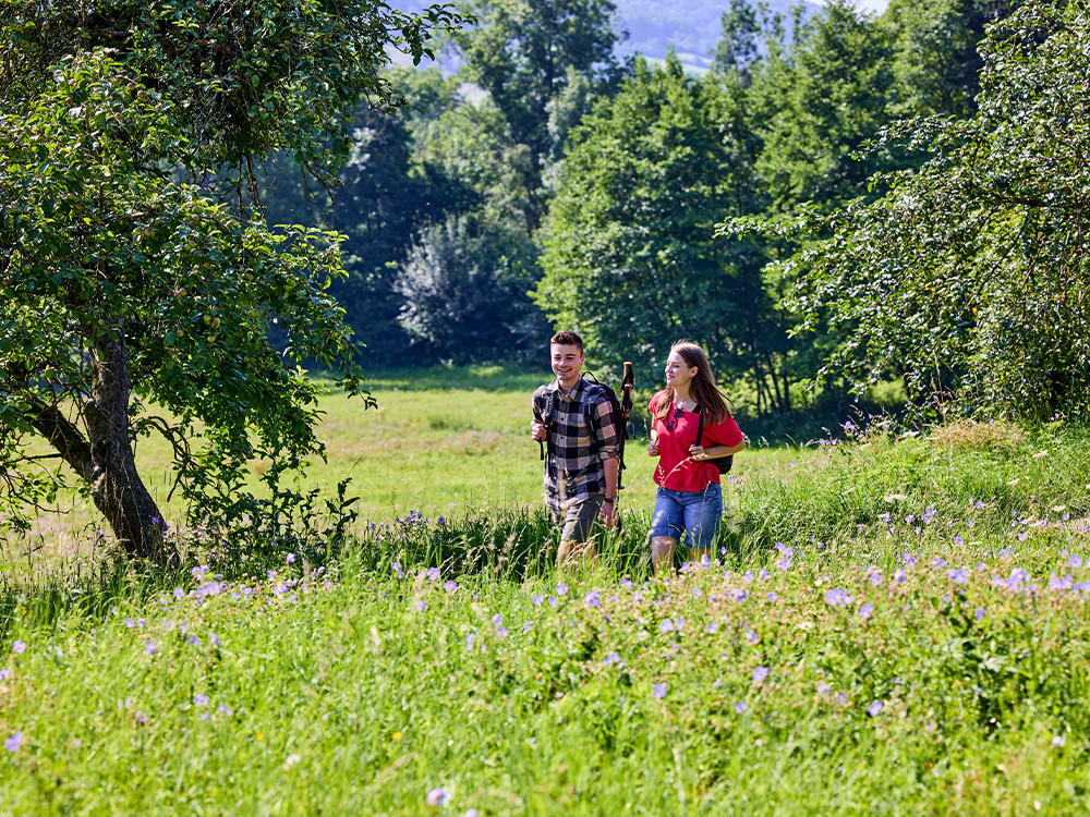 Mooie wandelroutes Zuidwest-Duitsland