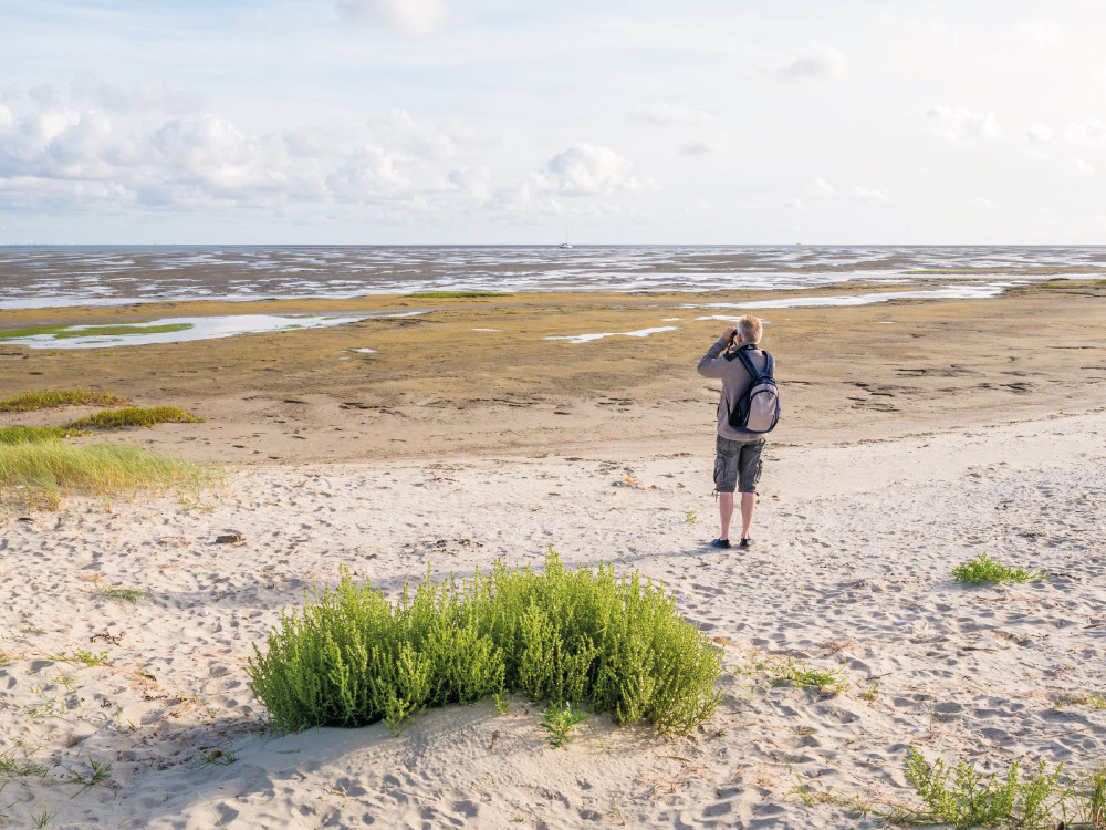 Wandelen op de Boschplaat