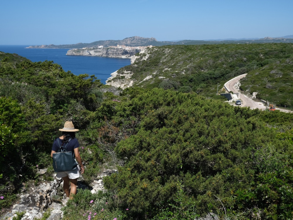 Wandelen tussen de maquis