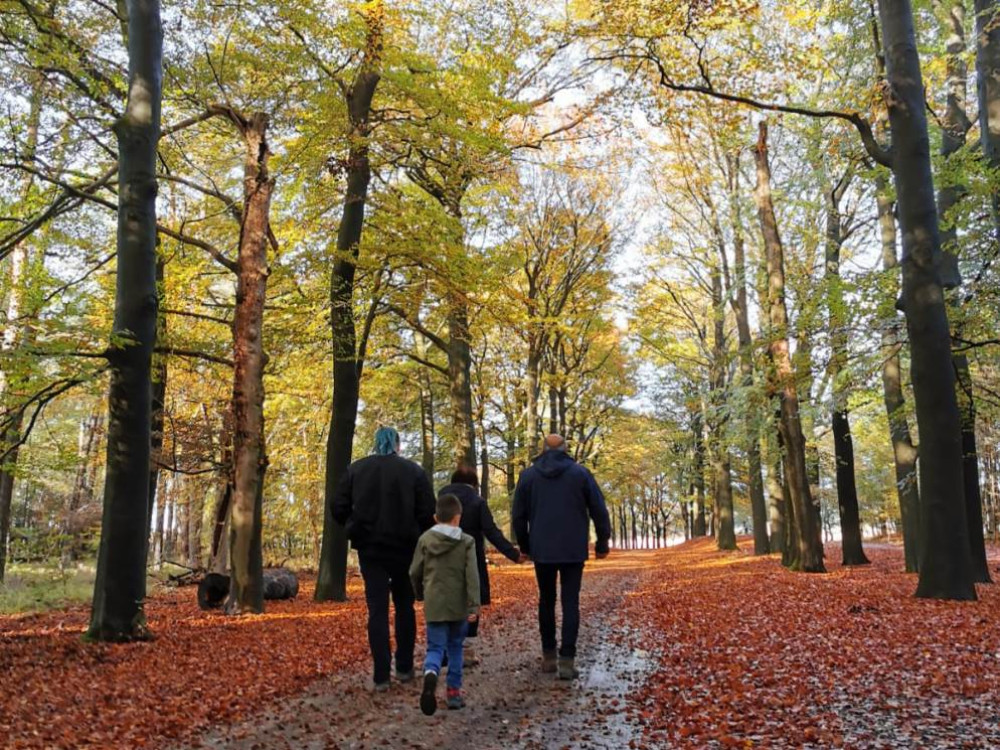 Wandelen in Nederland