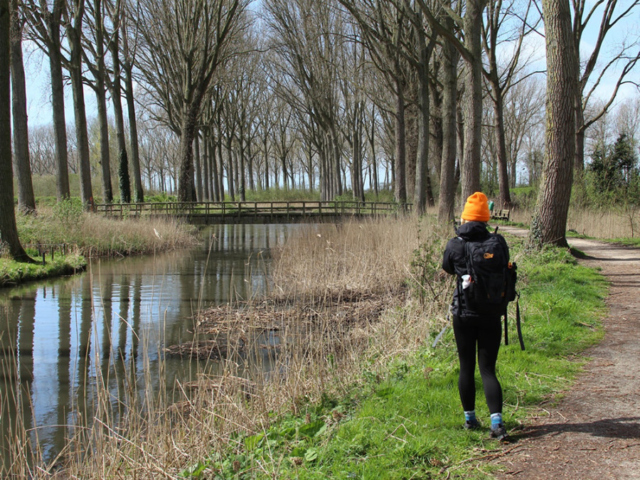 Wandelen in Damme