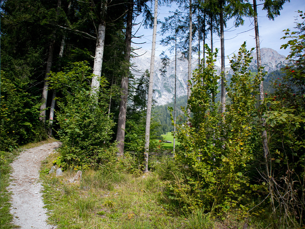 Wandelreis Saalachtaler Höhenweg