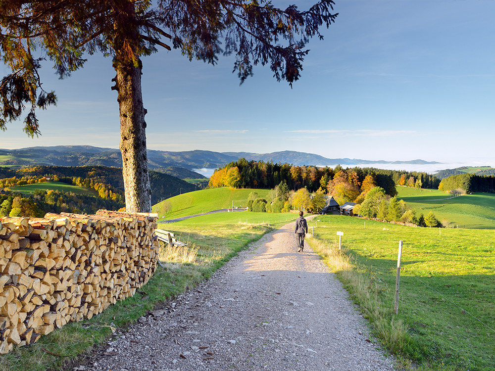 Wandelreis Baden-Württemberg