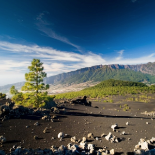 Afbeelding voor Eigen-Wijze Reizen - Wandelreis La Palma