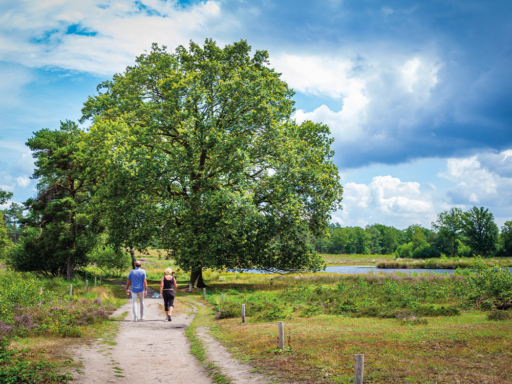 Wandelen in Gelderland