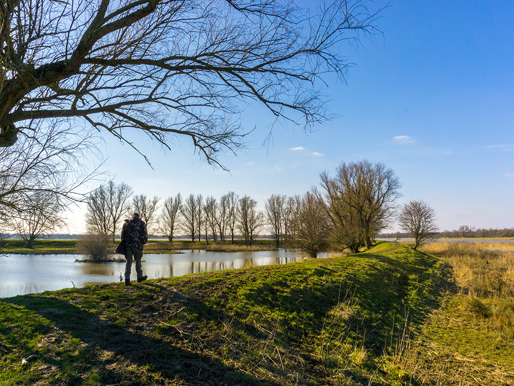 Wandelroutes Biesbosch