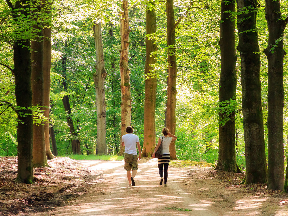 Wandelen op de Veluwe