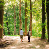 Afbeelding voor Wandelen op de Veluwe