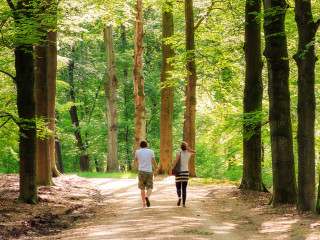 Afbeelding voor Wandelen op de Veluwe