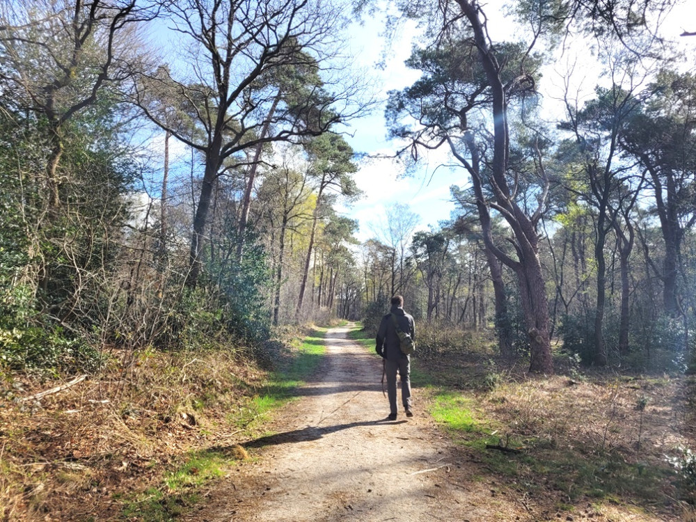 Wandelen Voorthuizen