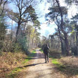 Afbeelding voor Wandelen bij Voorthuizen