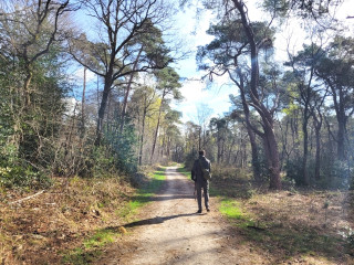 Afbeelding voor Wandelen bij Voorthuizen