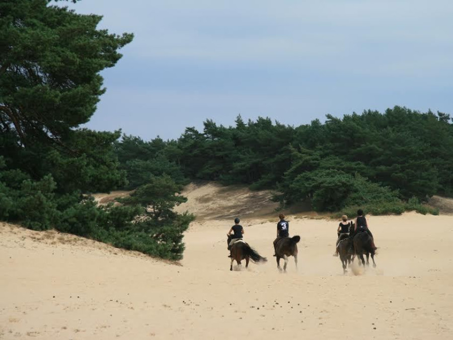 Zandverstuiving op de Veluwe