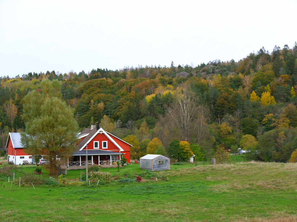 Herfst in West-Zweden