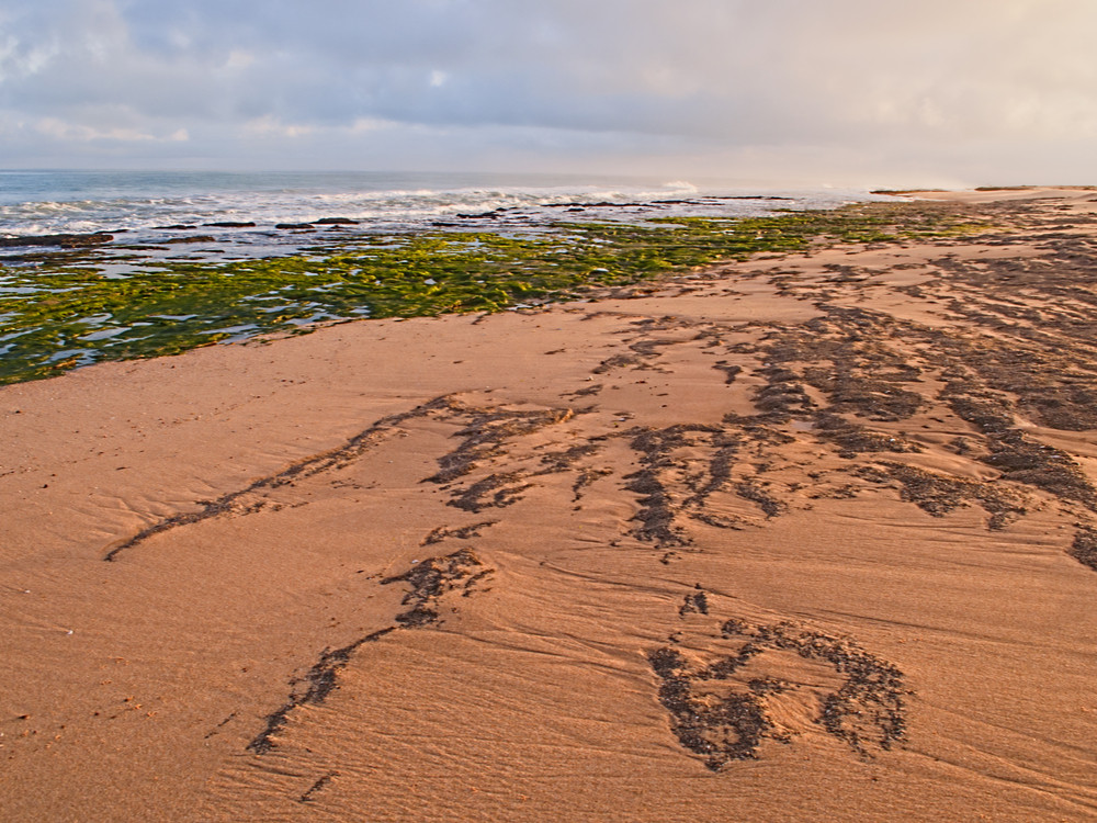 Kust Westelijke Sahara