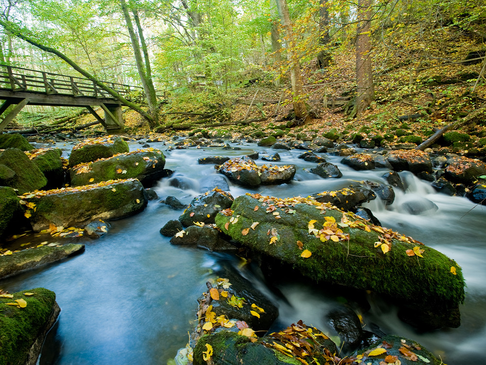 Westerwald