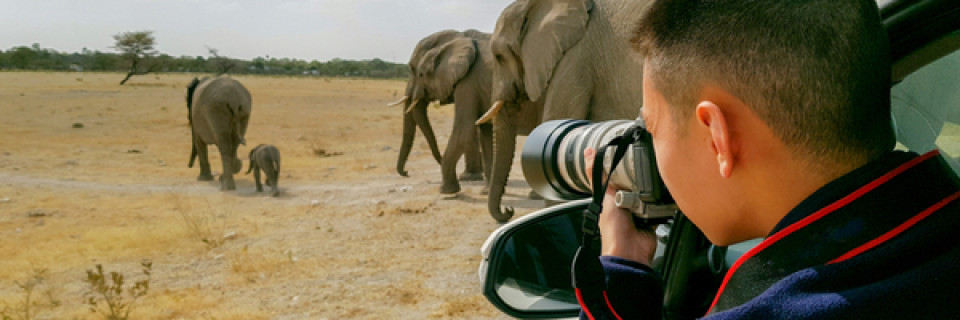 Top foto voor Zoogdieren ver weg