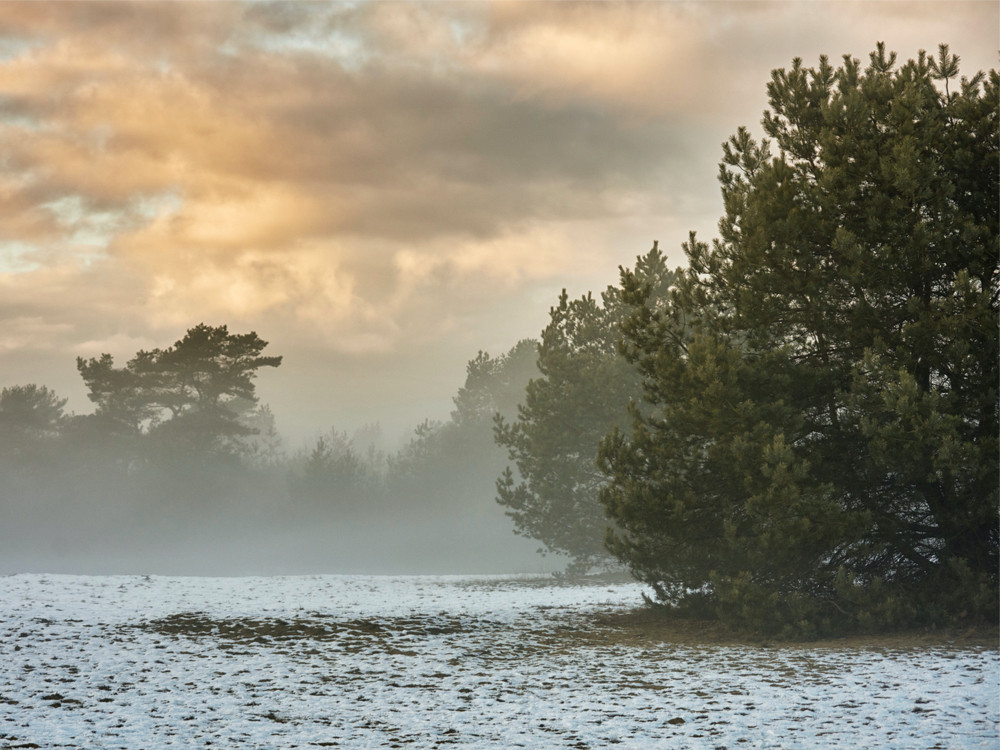 Kootwijk op een winterse morgen