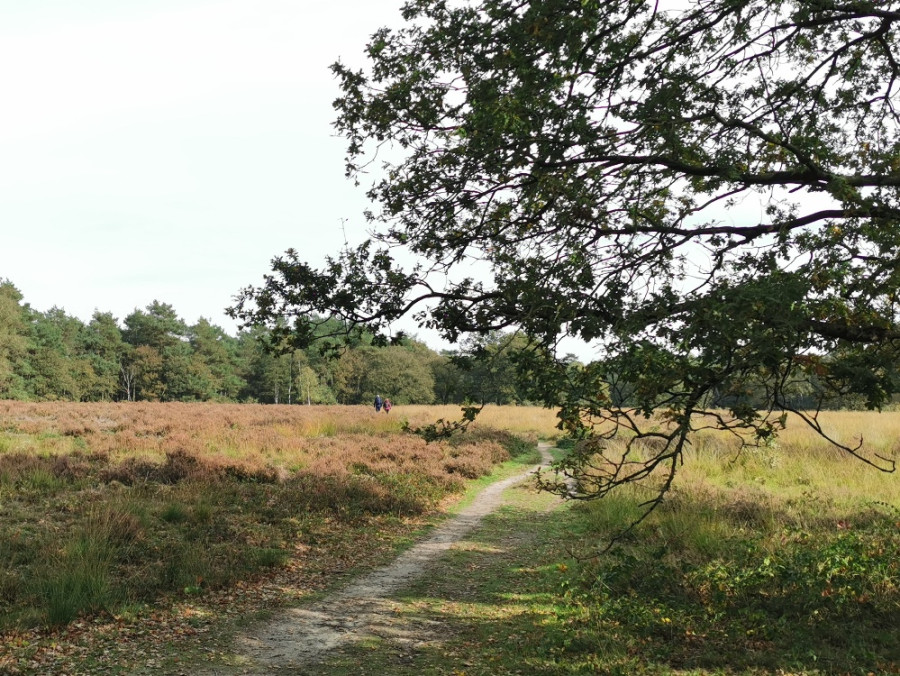 Wandelen bij Arnhem