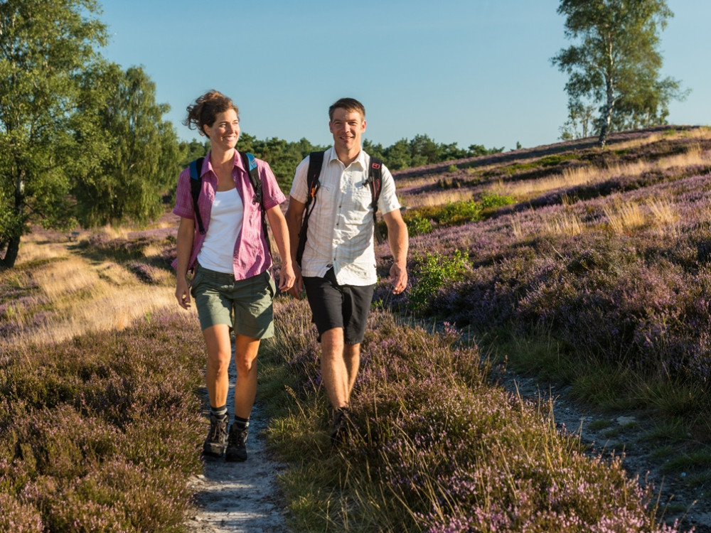 Wandelen op de Brunsberg