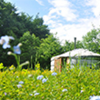 Afbeelding voor Natuurhuisje - Yurt bij Rijsbergen