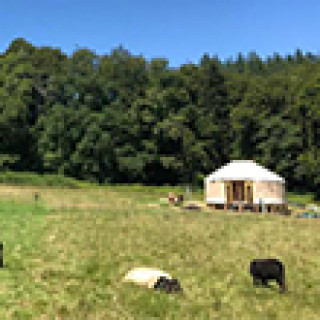 Afbeelding voor Booking.com - Yurt