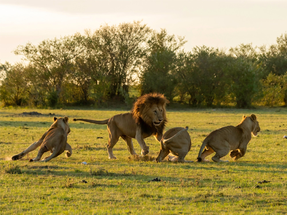 Rhino and Lion Nature Reserve