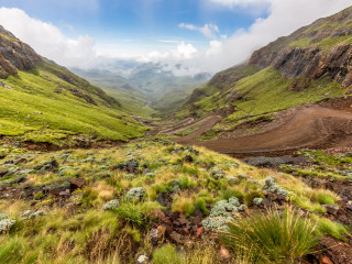 Afbeelding voor Sanipas in Zuid-Afrika