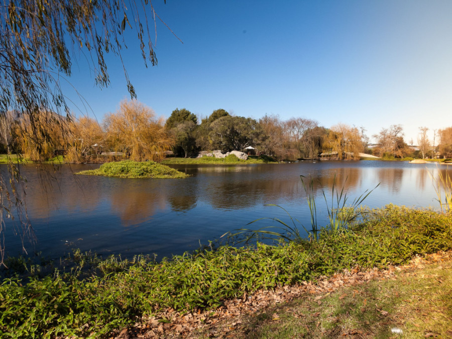 Spier wine Stellenbosch