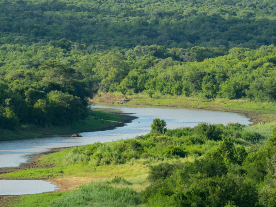 Landschap Hluhluwe Landschap Hluhluwe