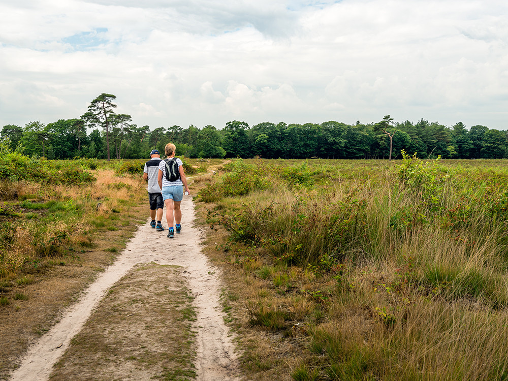 Wandelen over zandpaden