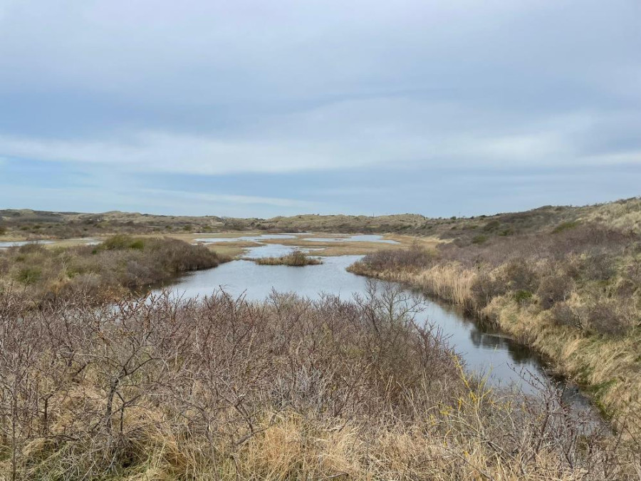 Zuid-Kennemerland