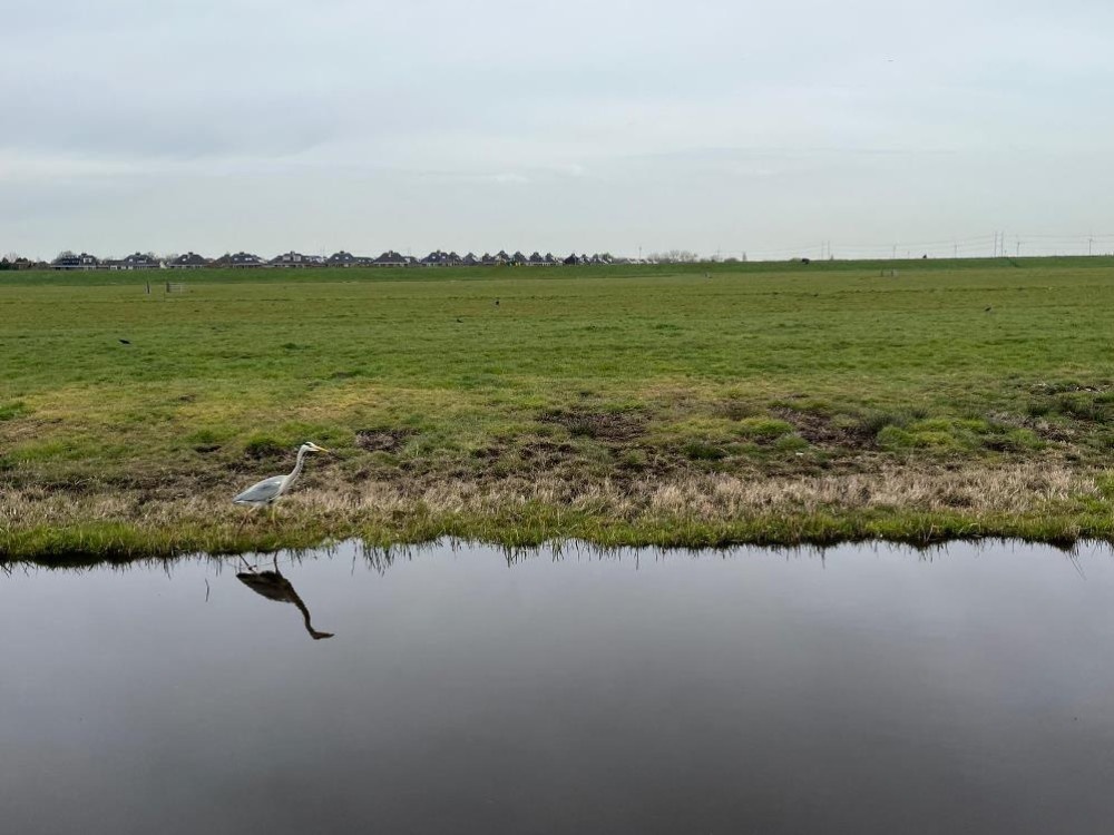 Trektocht Zuid-Kennemerland