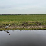 Afbeelding voor Wandelen in het Zuid-Kennemerland