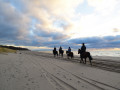 Paardrijden langs de Nederlandse kust
