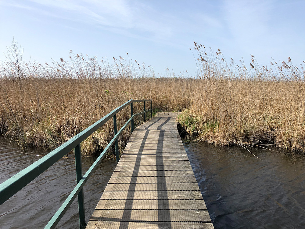 Wandelen Zouweboezem