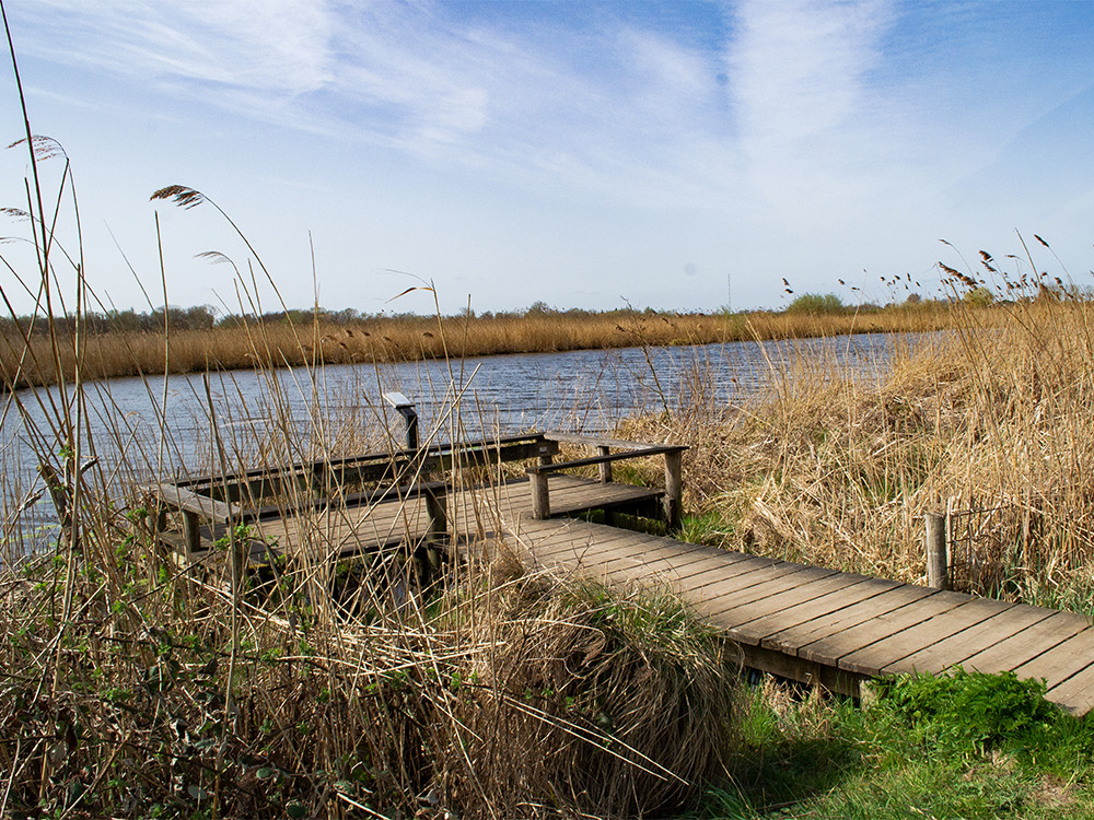 Uitkijkpunt over het water