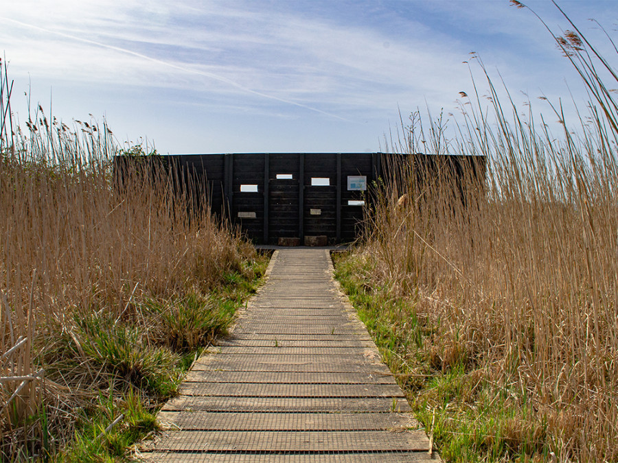 Wandelroute Zouweboezem