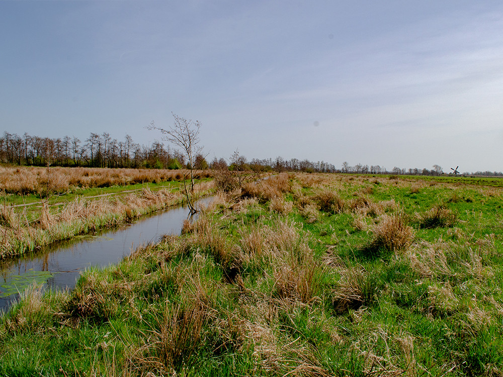 Polder Achthoven