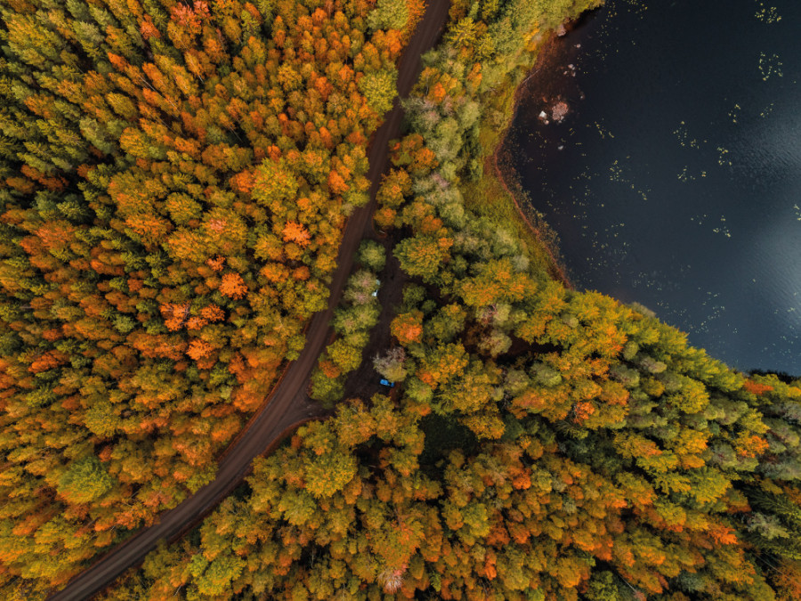 Natuurgebieden Scandinavie