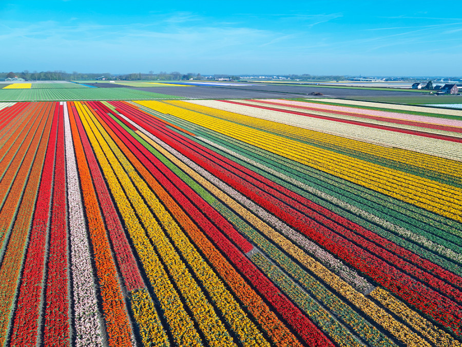 Bezienswaardigheden Zuid-Holland