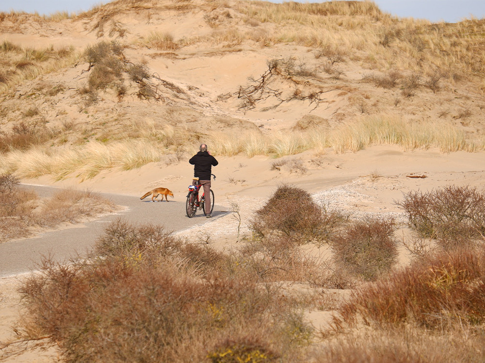 Kan zomaar gebeuren tijdens het fietsen!